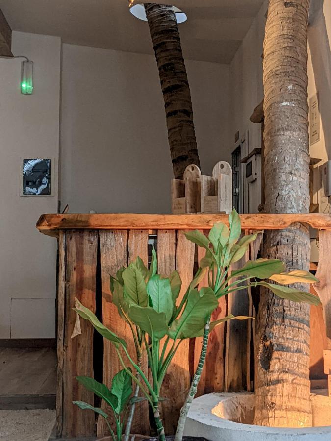 萨勒斯度岛 Dhoadhi Retreat酒店 外观 照片